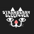Strawberry Sleepover image