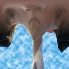 aidanfiglietti thumbnail