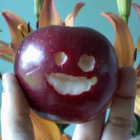 pibblefib thumbnail