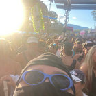 frolic… thumbnail