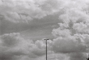 SOJA — Photo
