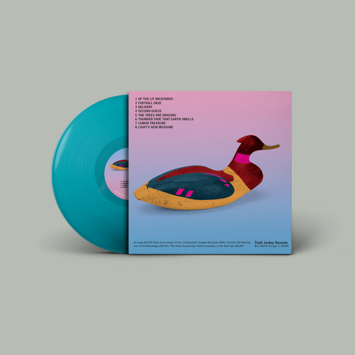 Black Duck Black Duck