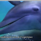 lulaanavof thumbnail