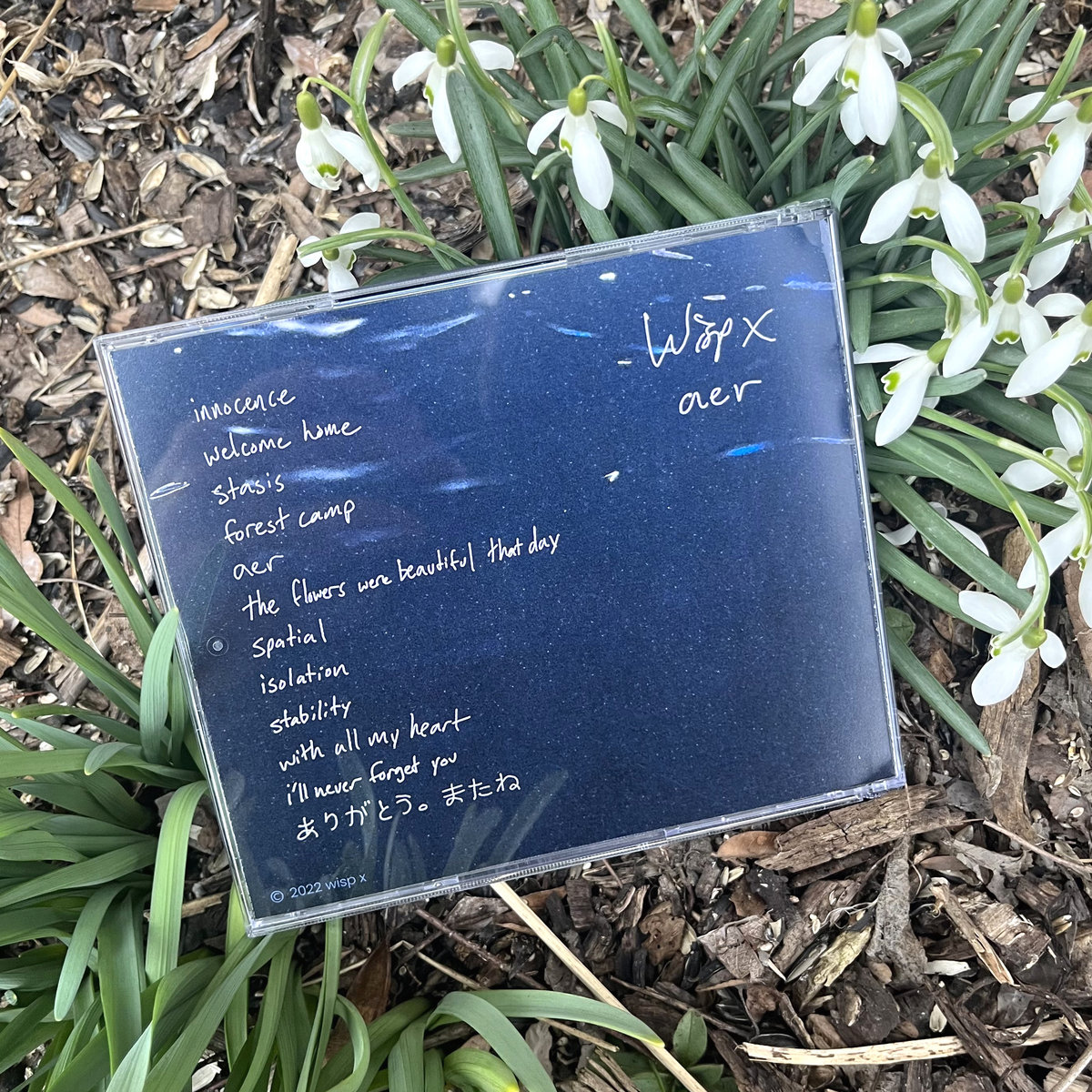 Complexify s collection bandcamp