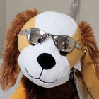 dogbrained thumbnail