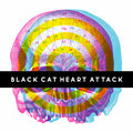 BLACK CAT HEART ATTACK image