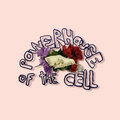 Powerhouse of the cell image