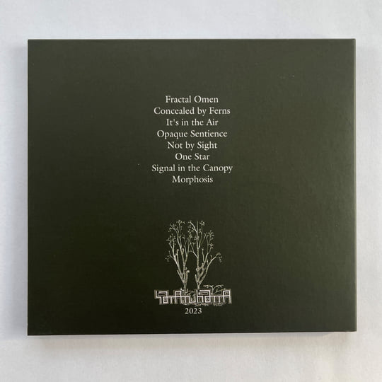 その他 morfosis [CD] Morphosis | Primitive Wings | SATATUHATTA