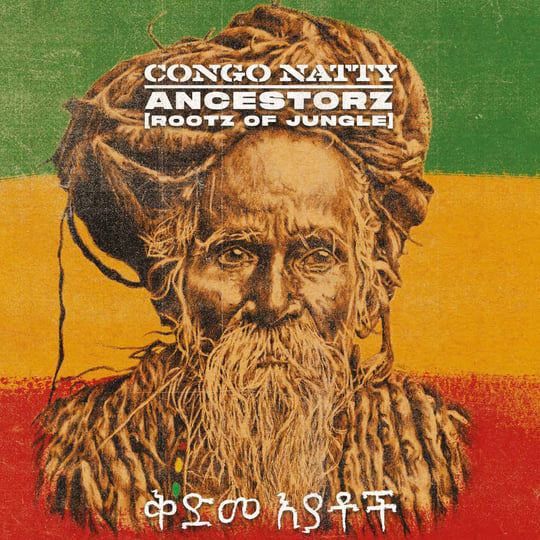 洋楽 Congo Natty Lion in the Jungle LP Congo Natty - Jungle Revolution - Amazon.com Music