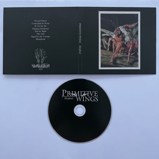 Morphosis | Primitive Wings | SATATUHATTA