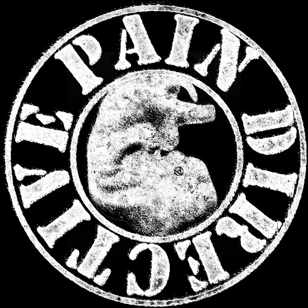 Music | Pain Directive