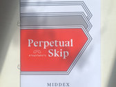 Perpetual Skip Book - edition of 8 wrapped, sealed & individually ink stamped. All proceeds to Hackney Foodbank. photo 