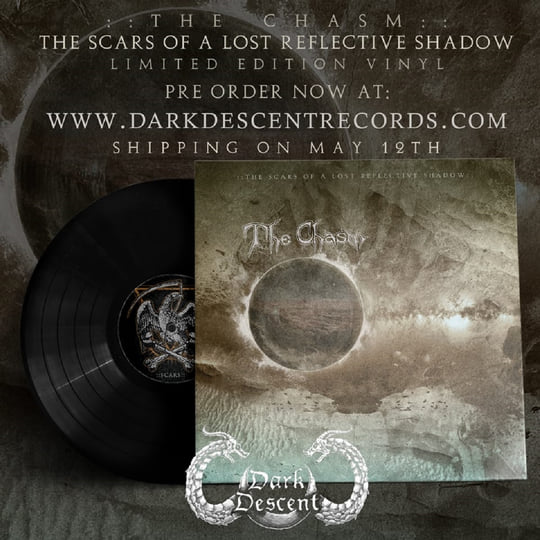 The Scars of a Lost Reflective Shadow | The Chasm | Dark Descent