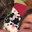 schilie thumbnail