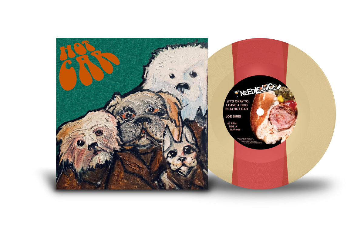 It's Okay to Leave a Dog in a Hot Car | Joe Siris | Needlejuice