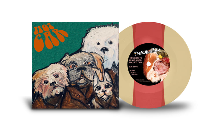 It's Okay to Leave a Dog in a Hot Car | Joe Siris | Needlejuice