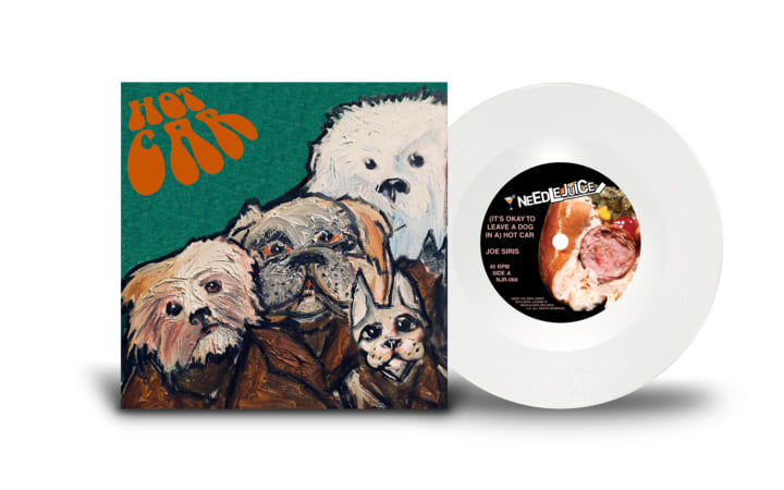 It's Okay to Leave a Dog in a Hot Car | Joe Siris | Needlejuice