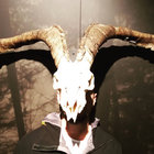 Babisduc thumbnail