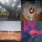 Another Dawn | Massane