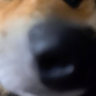 thekawaiislartibartfast thumbnail