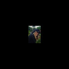 ivamagdalena thumbnail