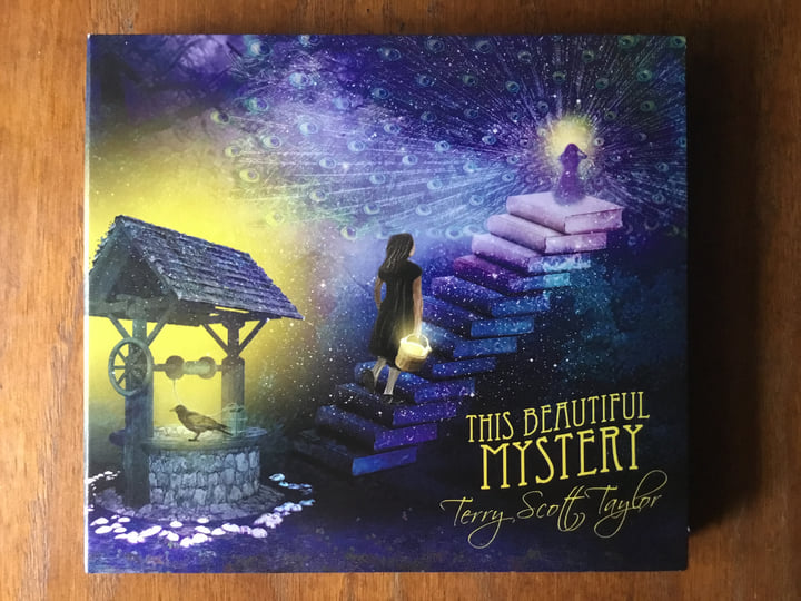 This Beautiful Mystery | Terry Scott Taylor