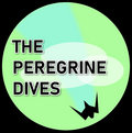 The Peregrine Dives image