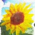 sunflower city image
