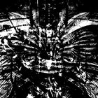 Thom Nguyen thumbnail