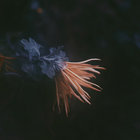 Soul On 10 thumbnail
