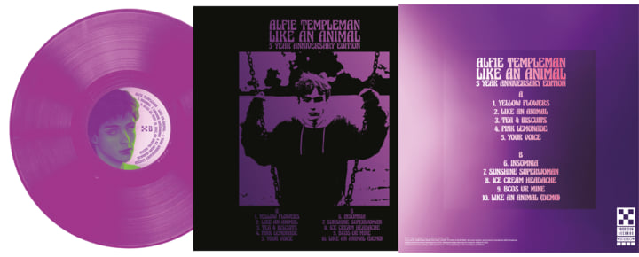 Like An Animal | Alfie Templeman