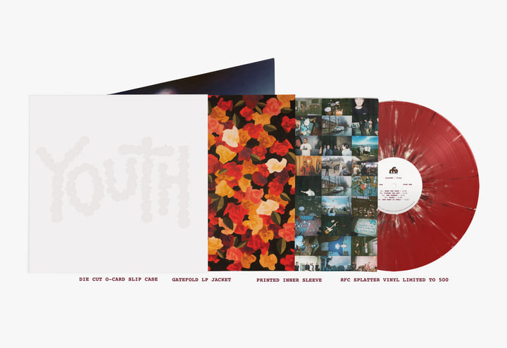 その他 In My Youth The Visitors EARL & CARL GRUBBS (THE VISITORS) / IN MY YOUTH – TICRO MARKET