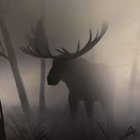 hidden_moose thumbnail
