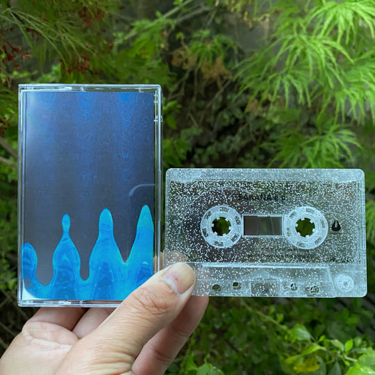 downt 「downt」SAKANA e.p. UNGL-014 downt - 
