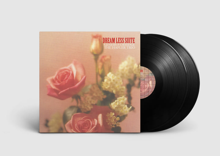 THE HAFLER TRIO ／ BRAIN SONG．限定1000！ Dream Less Suite | Genesis P-Orridge & The Hafler Trio | The