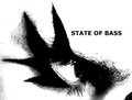 State of Bass UK image