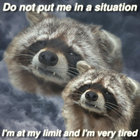 Linkobrata thumbnail