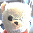 4in_aera thumbnail