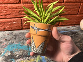 Succulent pot photo 