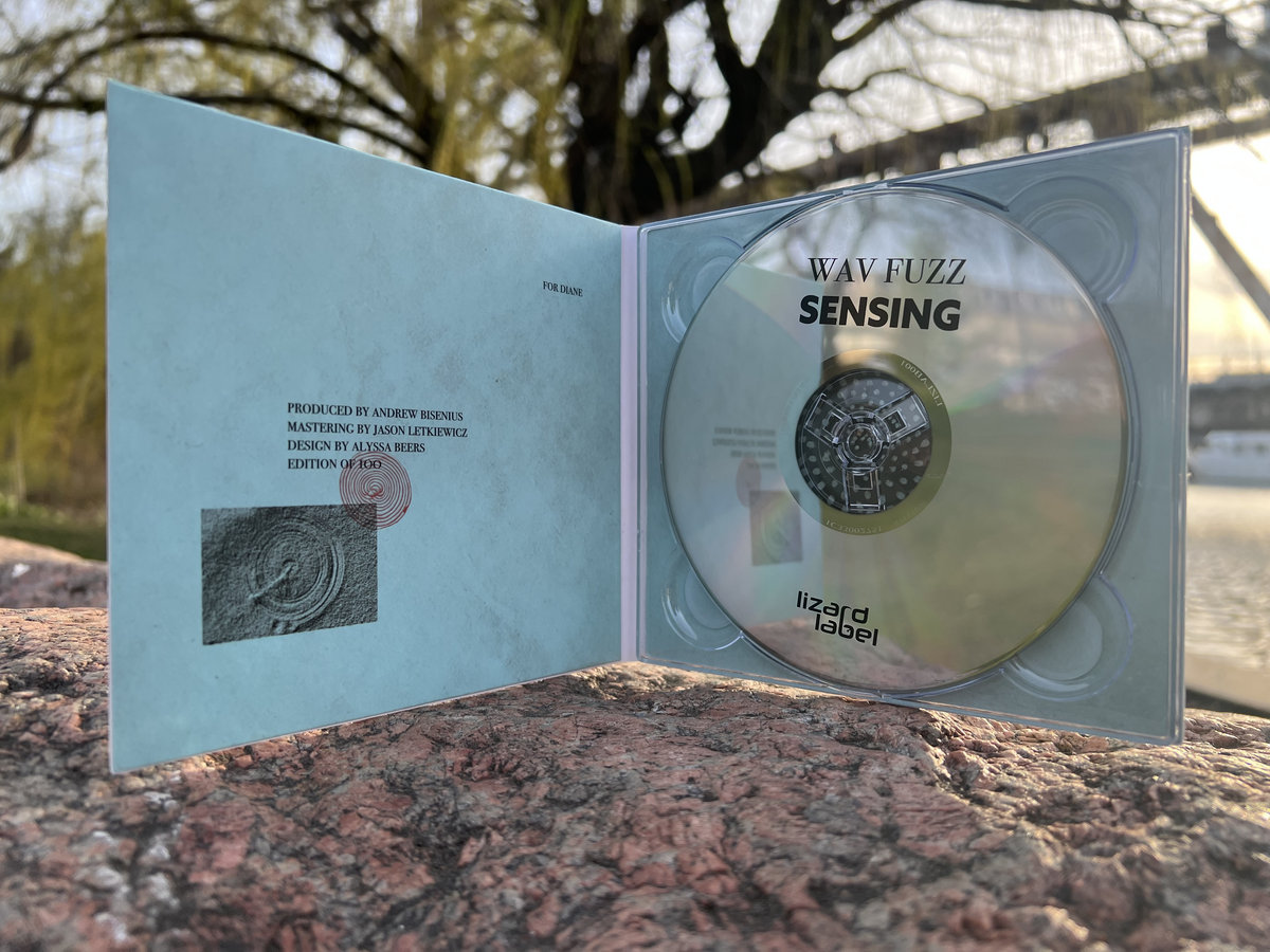 WAVE illusion cd サン　サイン WAVE illusion cd サン サイン Polygon Window – Surfing On
