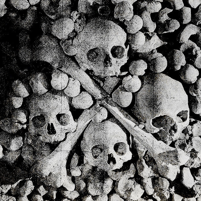 La Larve Exulte | Cénotaphe | Fog The Necropope