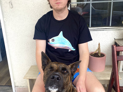 Merch | Dolphin Hyperspace