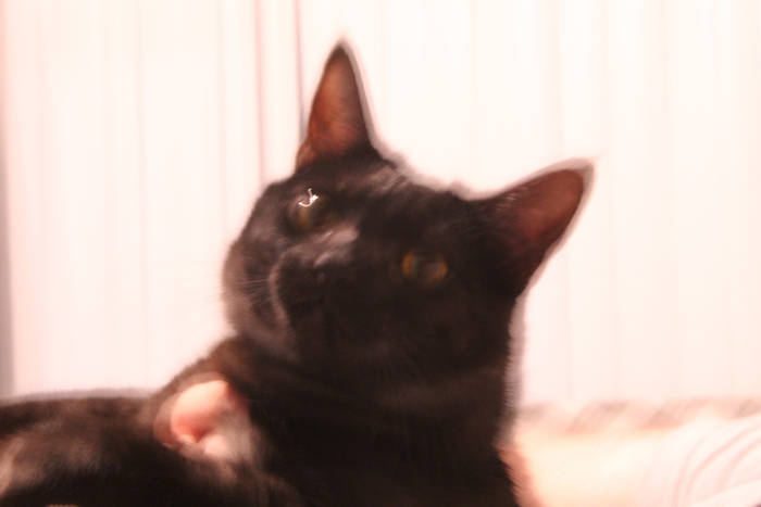 Bomb Squad | ilysm, CREEPYSUSIE, roughpatch | dis