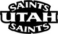 Utah Saints image
