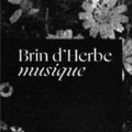 Brin d'Herbe musique image