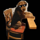 zebsta thumbnail