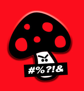Music | Sex Shop Mushrooms