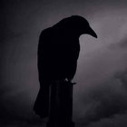 Darkness Before Dawn thumbnail
