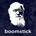 Boomstick image