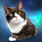DJ Zip Disk Official thumbnail